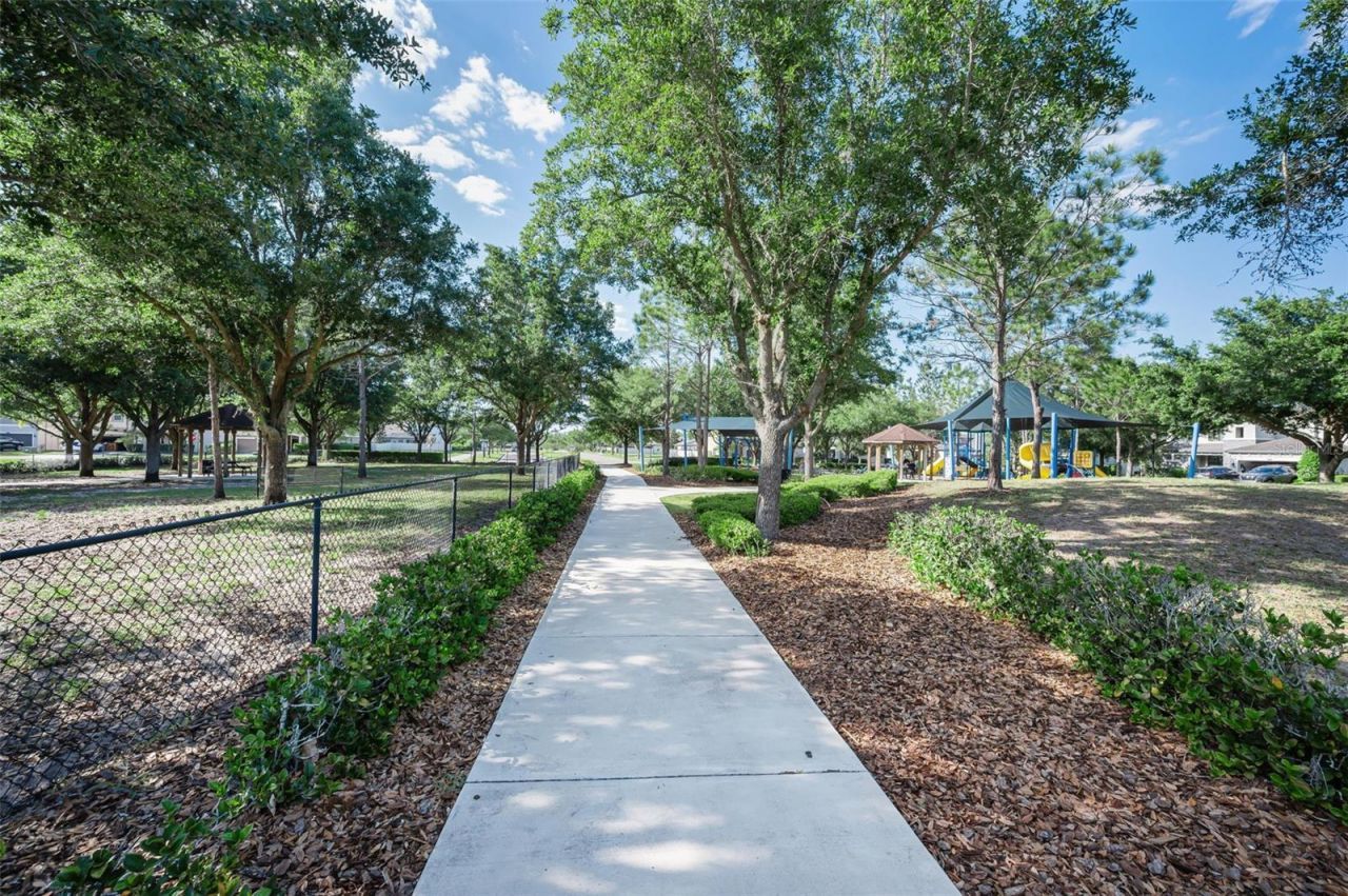 8449 Bluevine Sky Drive, Land O Lakes, FL 34637 Photo