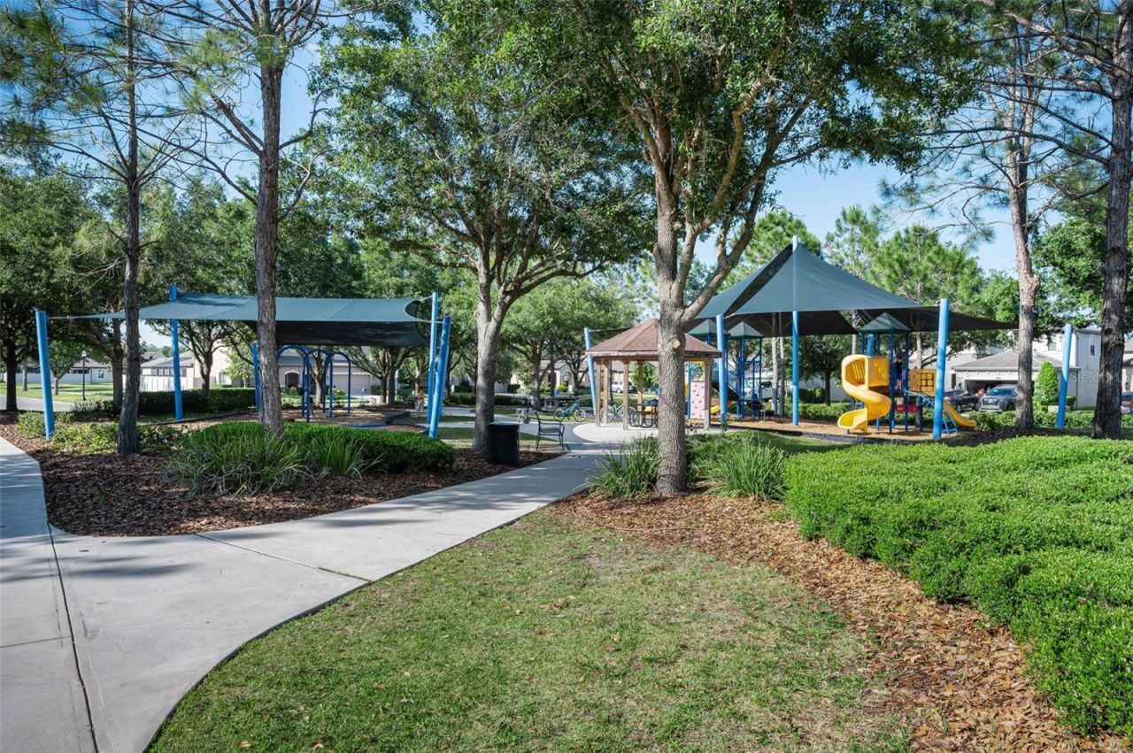 8449 Bluevine Sky Drive, Land O Lakes, FL 34637 Photo