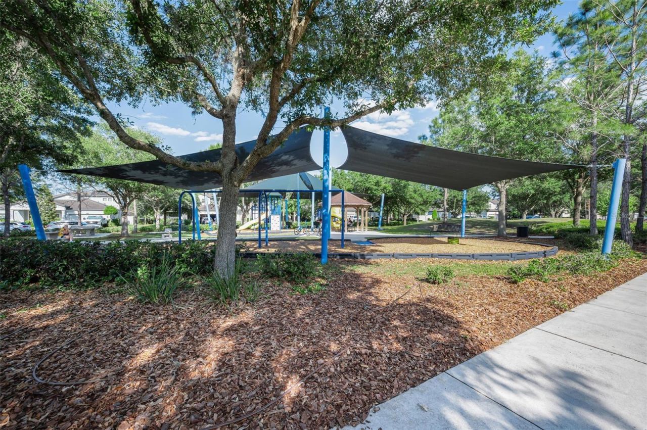 8449 Bluevine Sky Drive, Land O Lakes, FL 34637 Photo