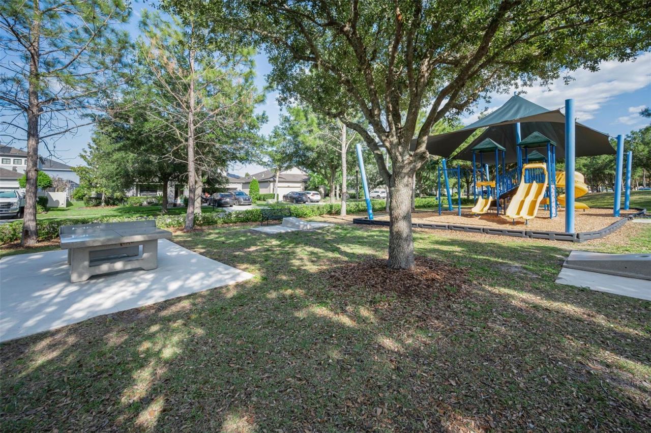 8449 Bluevine Sky Drive, Land O Lakes, FL 34637 Photo