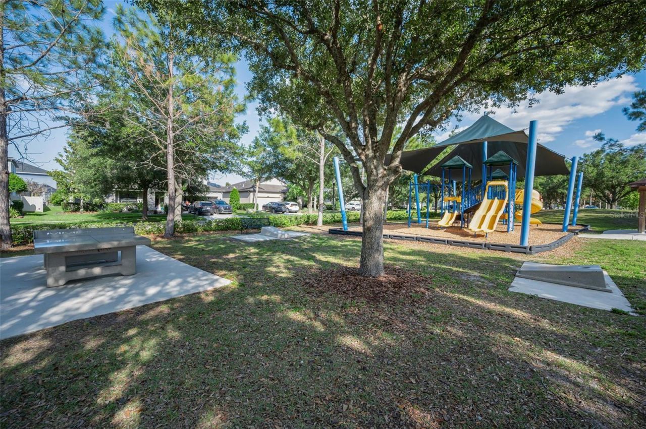 8449 Bluevine Sky Drive, Land O Lakes, FL 34637 Photo