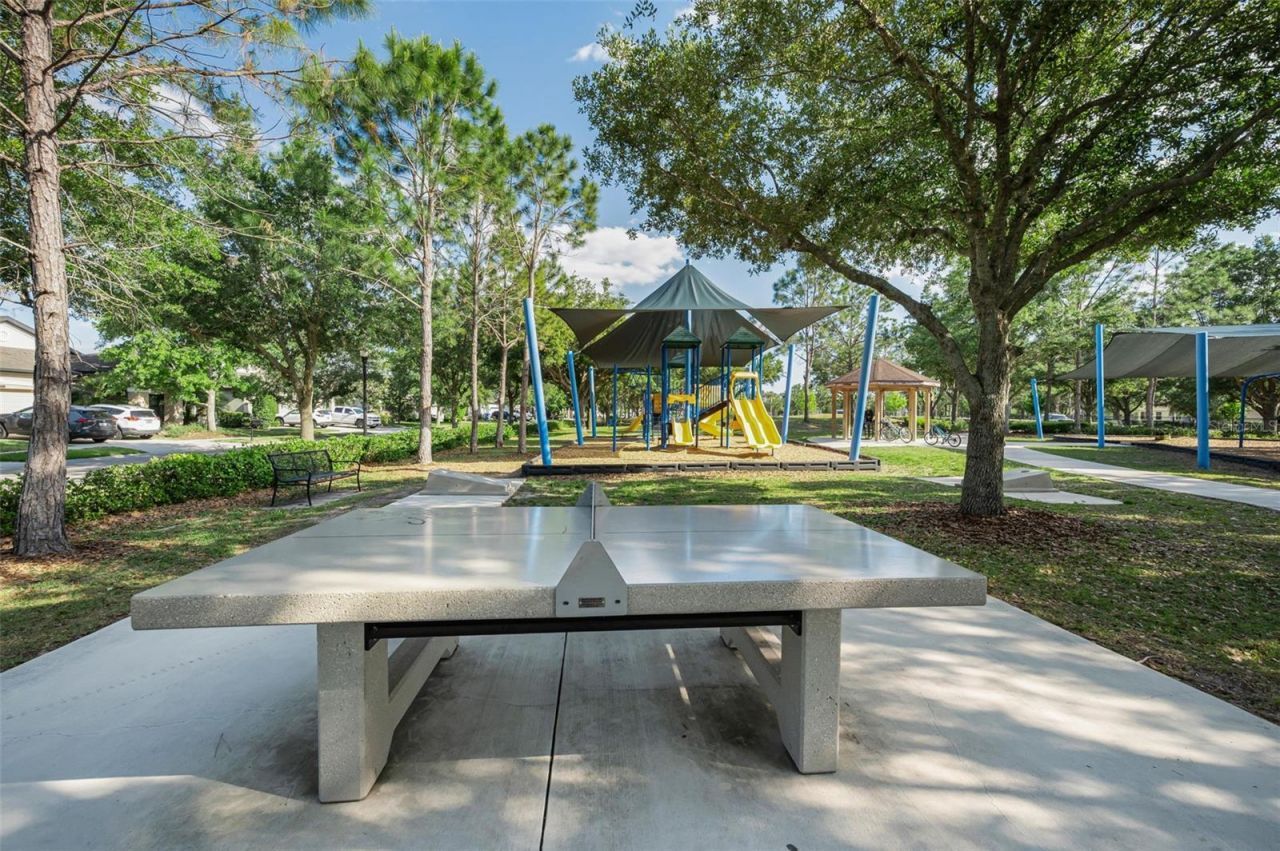 8449 Bluevine Sky Drive, Land O Lakes, FL 34637 Photo