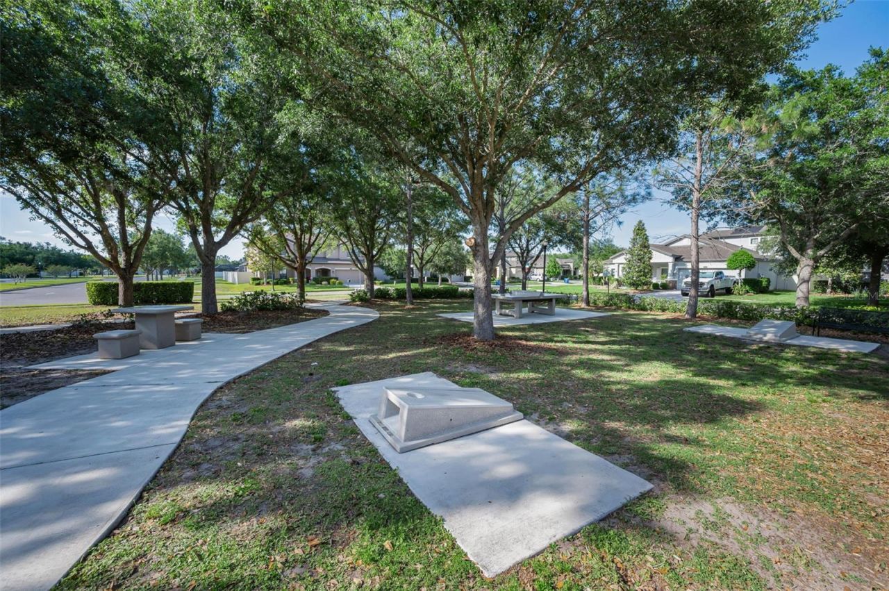 8449 Bluevine Sky Drive, Land O Lakes, FL 34637 Photo