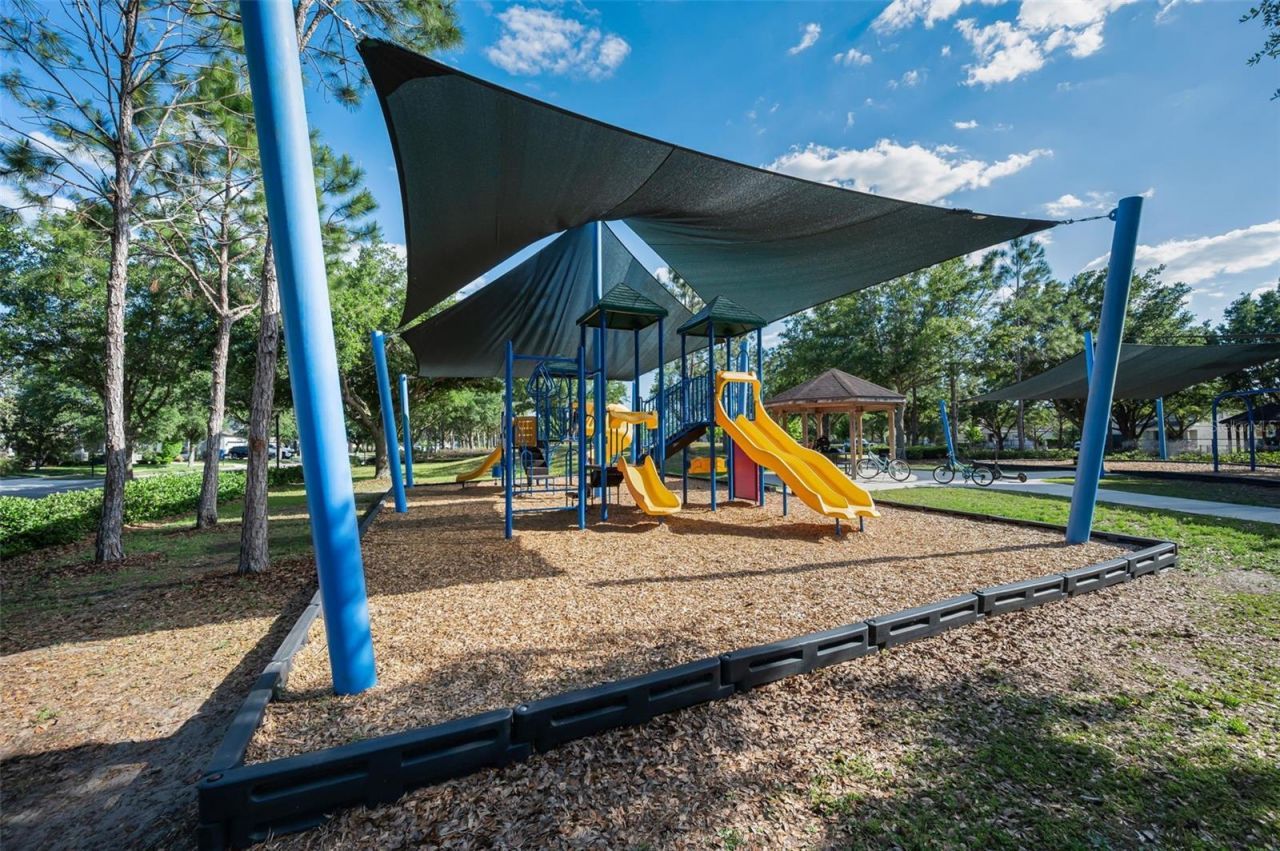 8449 Bluevine Sky Drive, Land O Lakes, FL 34637 Photo