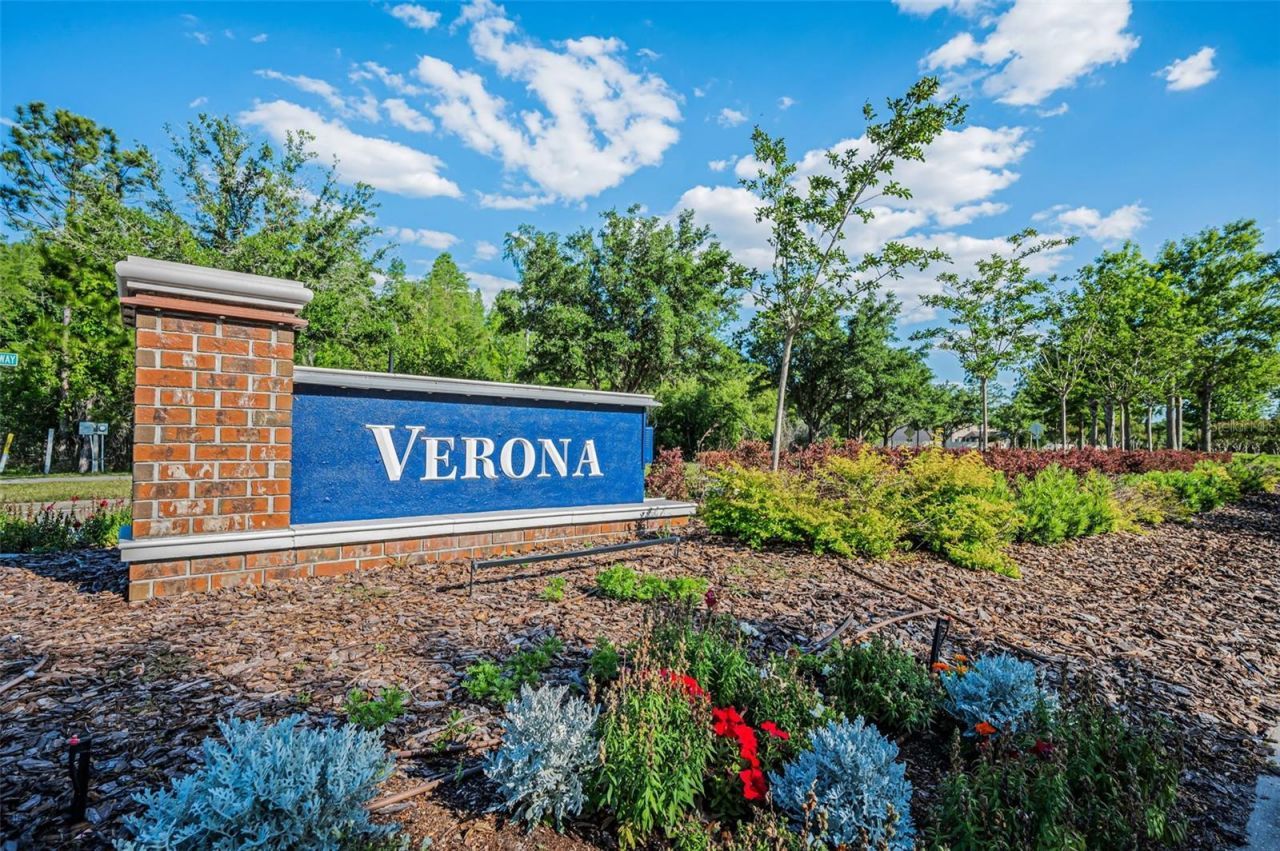 8449 Bluevine Sky Drive, Land O Lakes, FL 34637 Photo