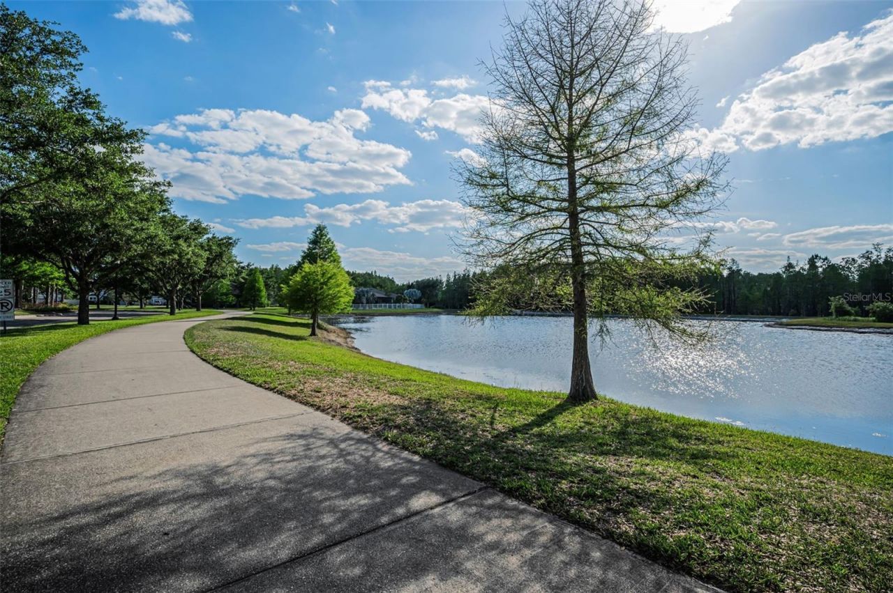 8449 Bluevine Sky Drive, Land O Lakes, FL 34637 Photo