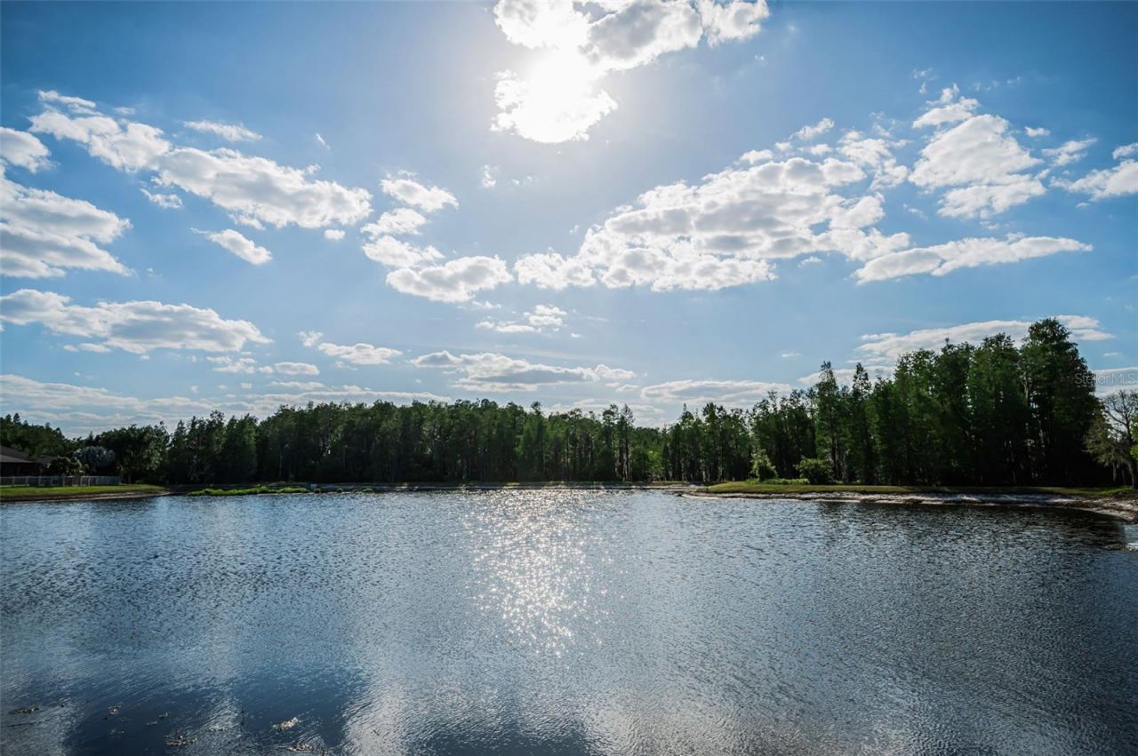 8449 Bluevine Sky Drive, Land O Lakes, FL 34637 Photo