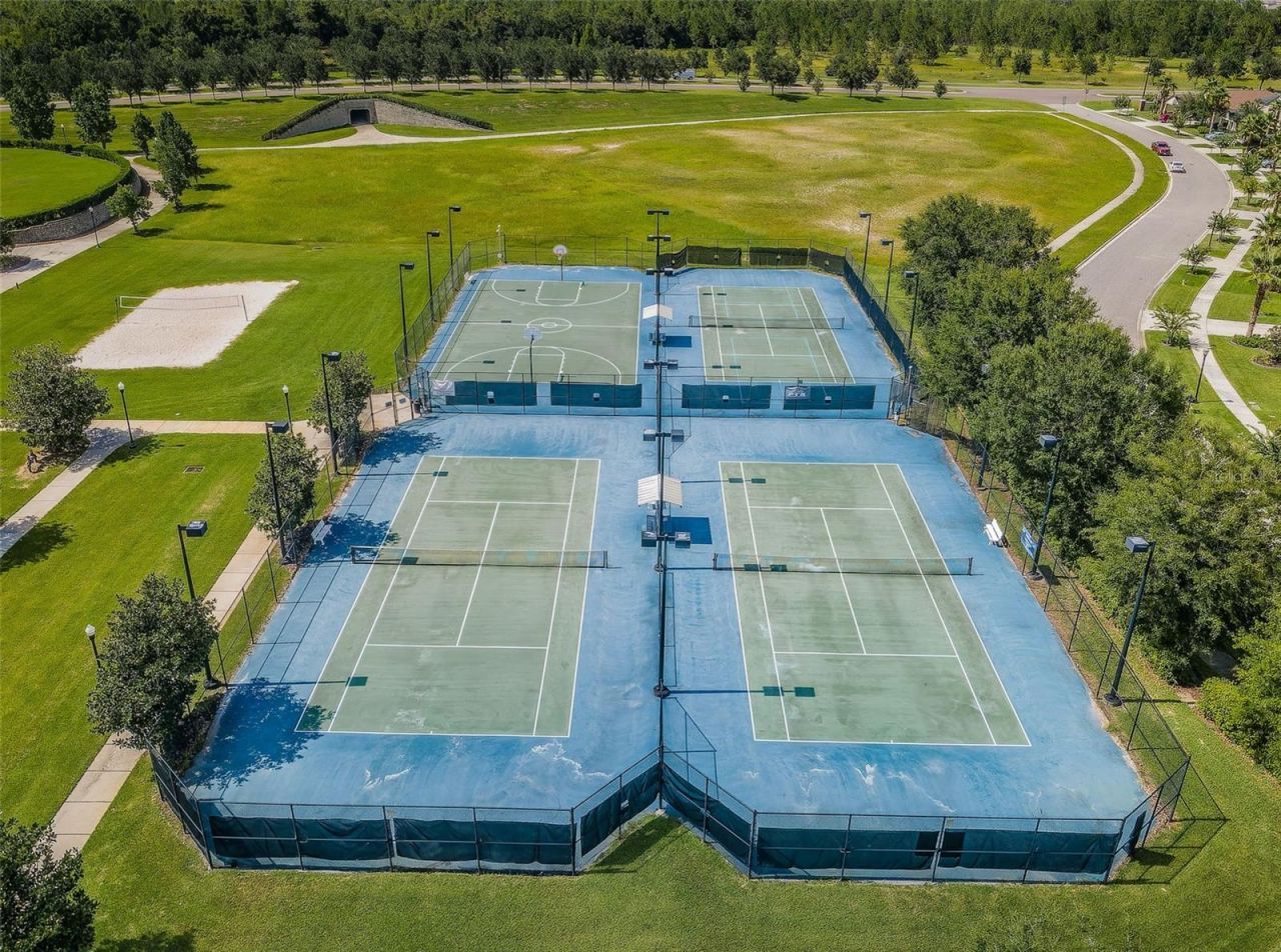 8449 Bluevine Sky Drive, Land O Lakes, FL 34637 Photo