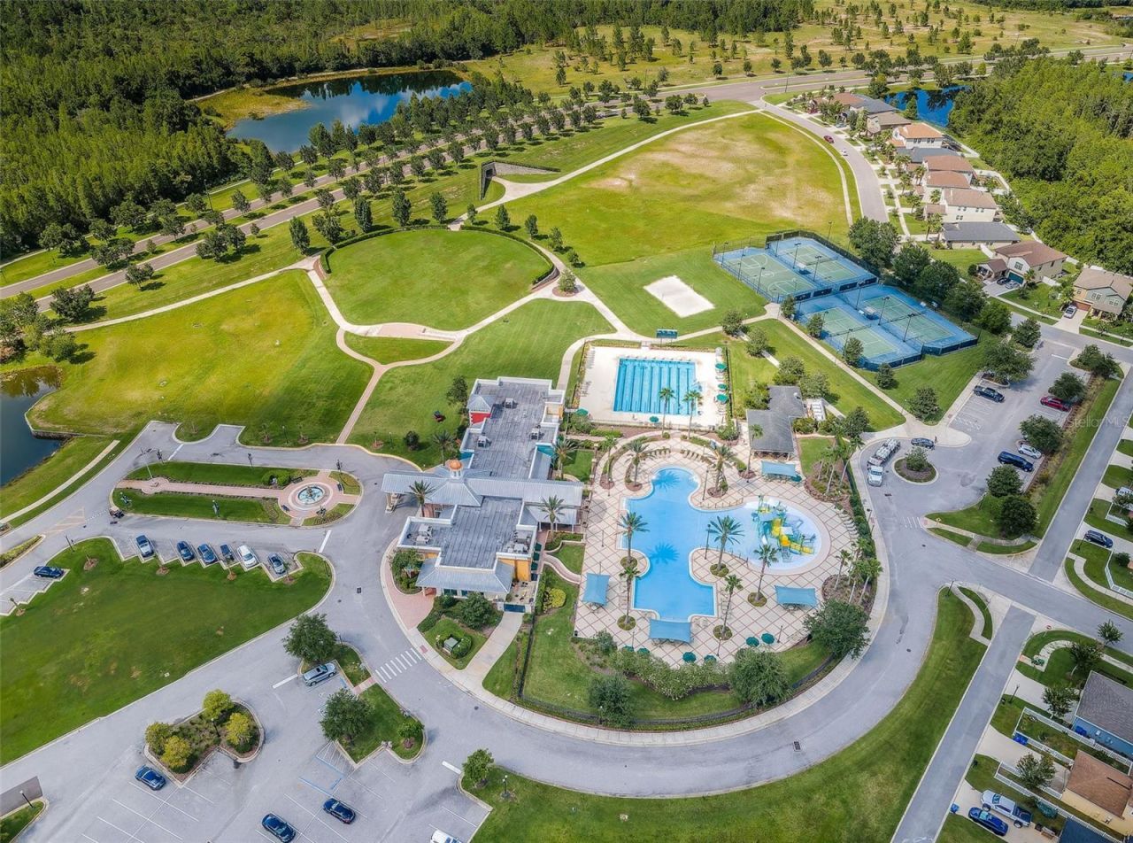 8449 Bluevine Sky Drive, Land O Lakes, FL 34637 Photo