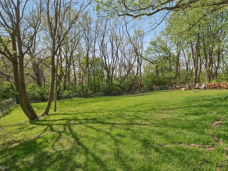 162 N Hawkins Avenue , Akron, OH 44313 Photo 3