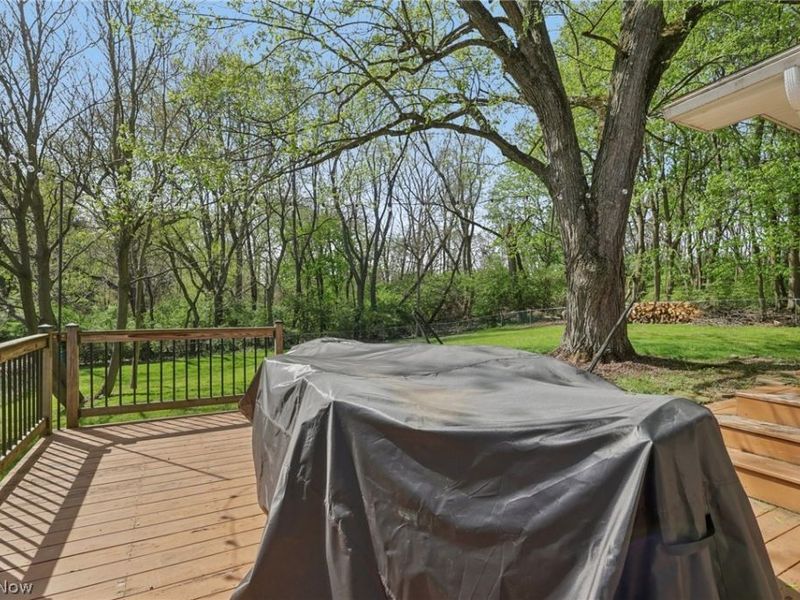 162 N Hawkins Avenue , Akron, OH 44313 Photo 34