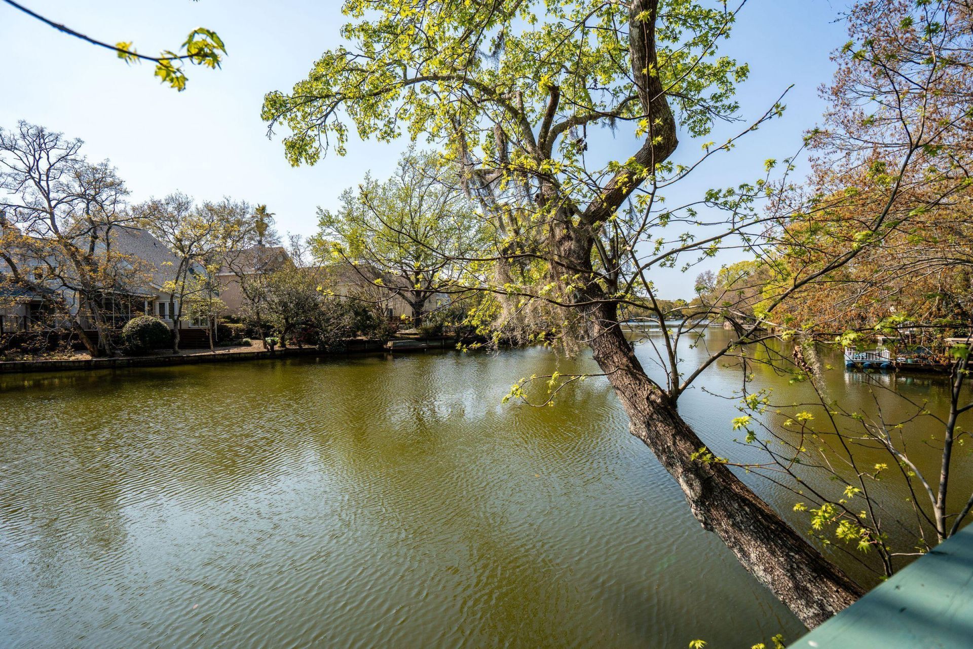 759 Lake Frances Drive Photo 46