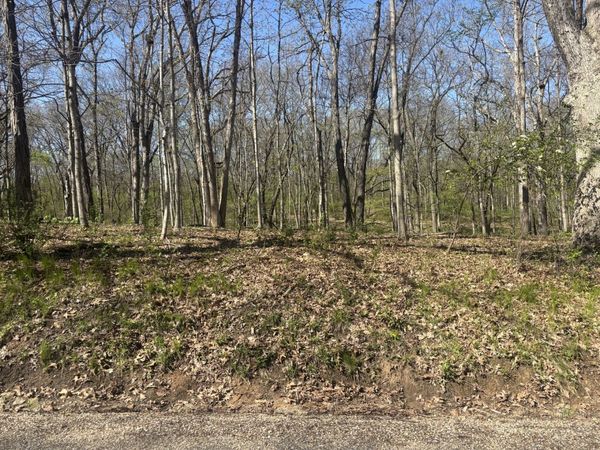 1618 Tanglewood Drive , Varna, IL 61375