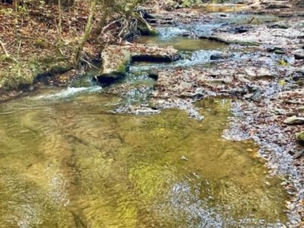 0 E Highway 36, Jackson, GA 30233