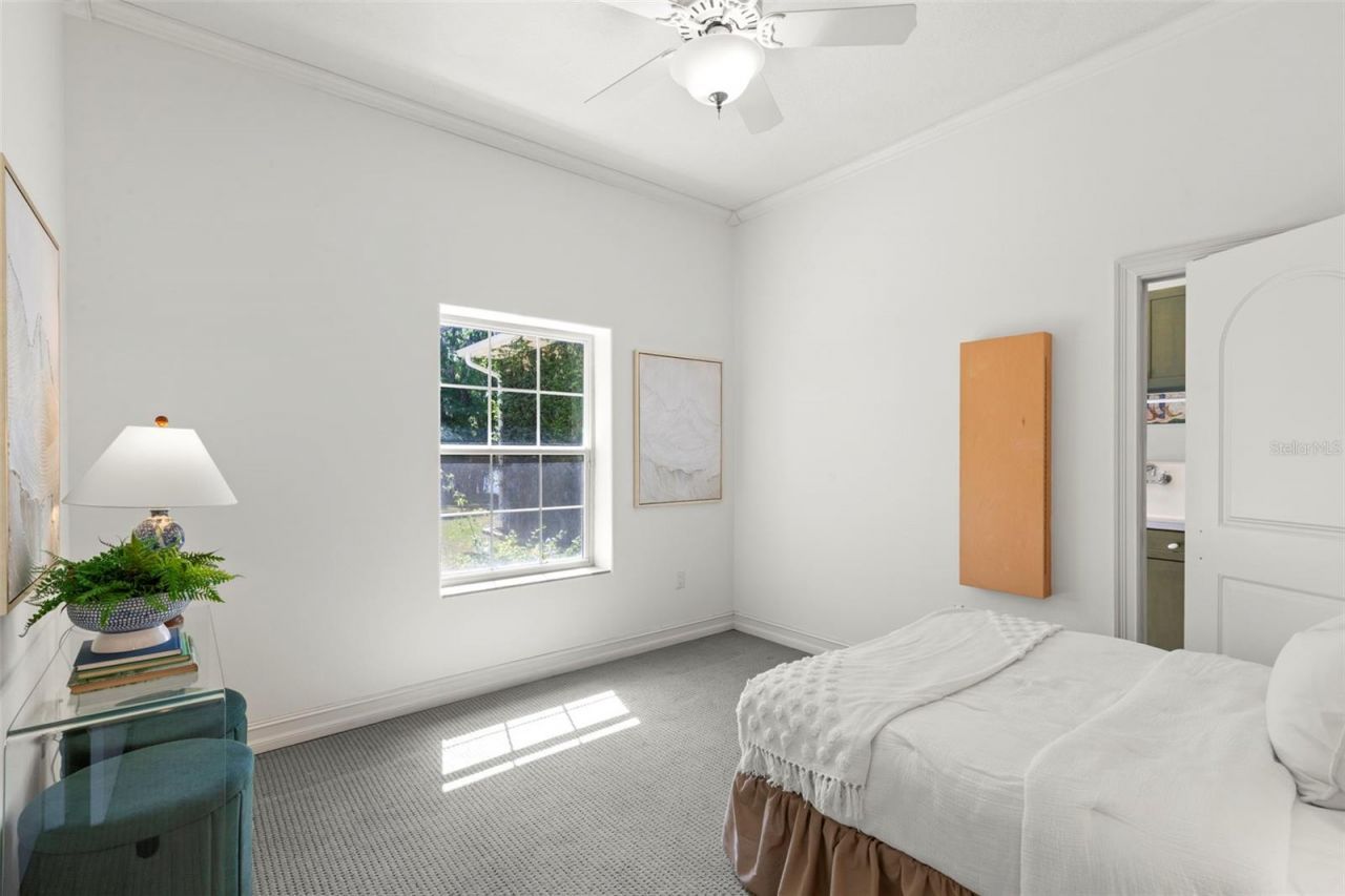 19229 Blount Road, Lutz, FL 33558 Photo