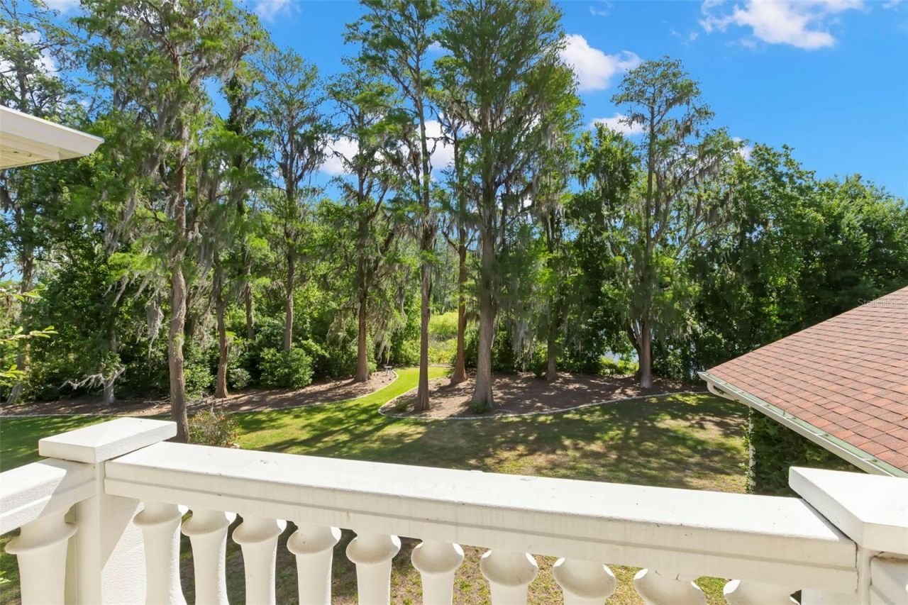 19229 Blount Road, Lutz, FL 33558 Photo