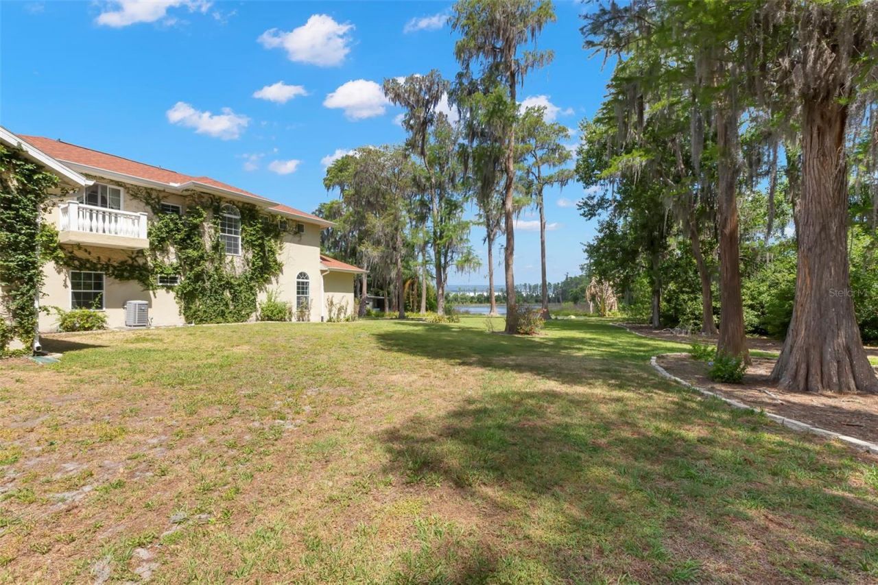 19229 Blount Road, Lutz, FL 33558 Photo