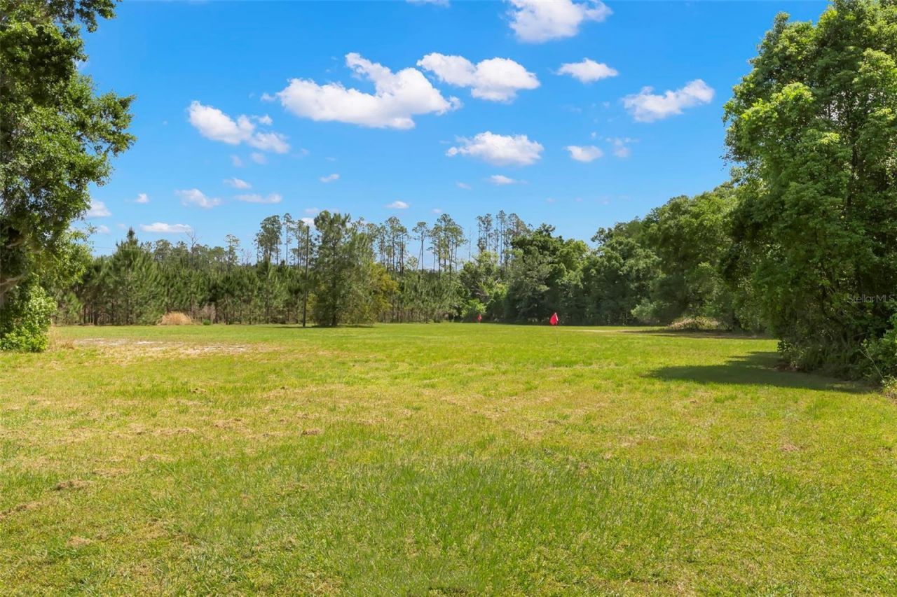 19229 Blount Road, Lutz, FL 33558 Photo