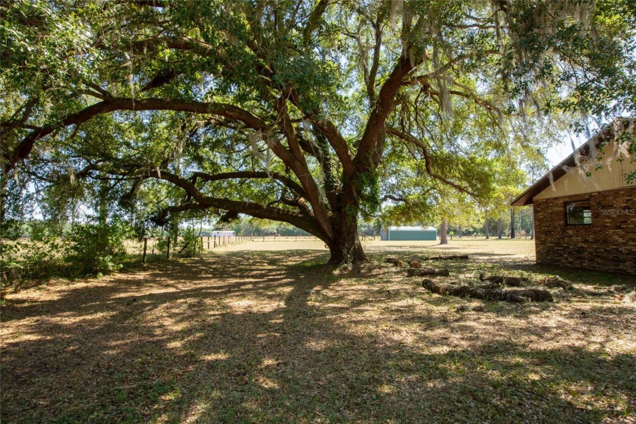 13296 SW County Road 231 , Brooker, FL 32622 Photo