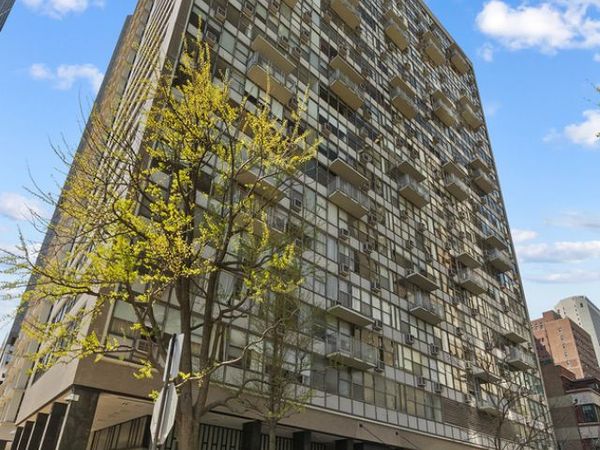 1000 N Lake Shore Drive , Unit 404, Chicago, IL 60611