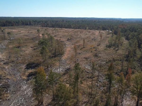 28-9-8 Freedom Rd , Star City, AR 71667