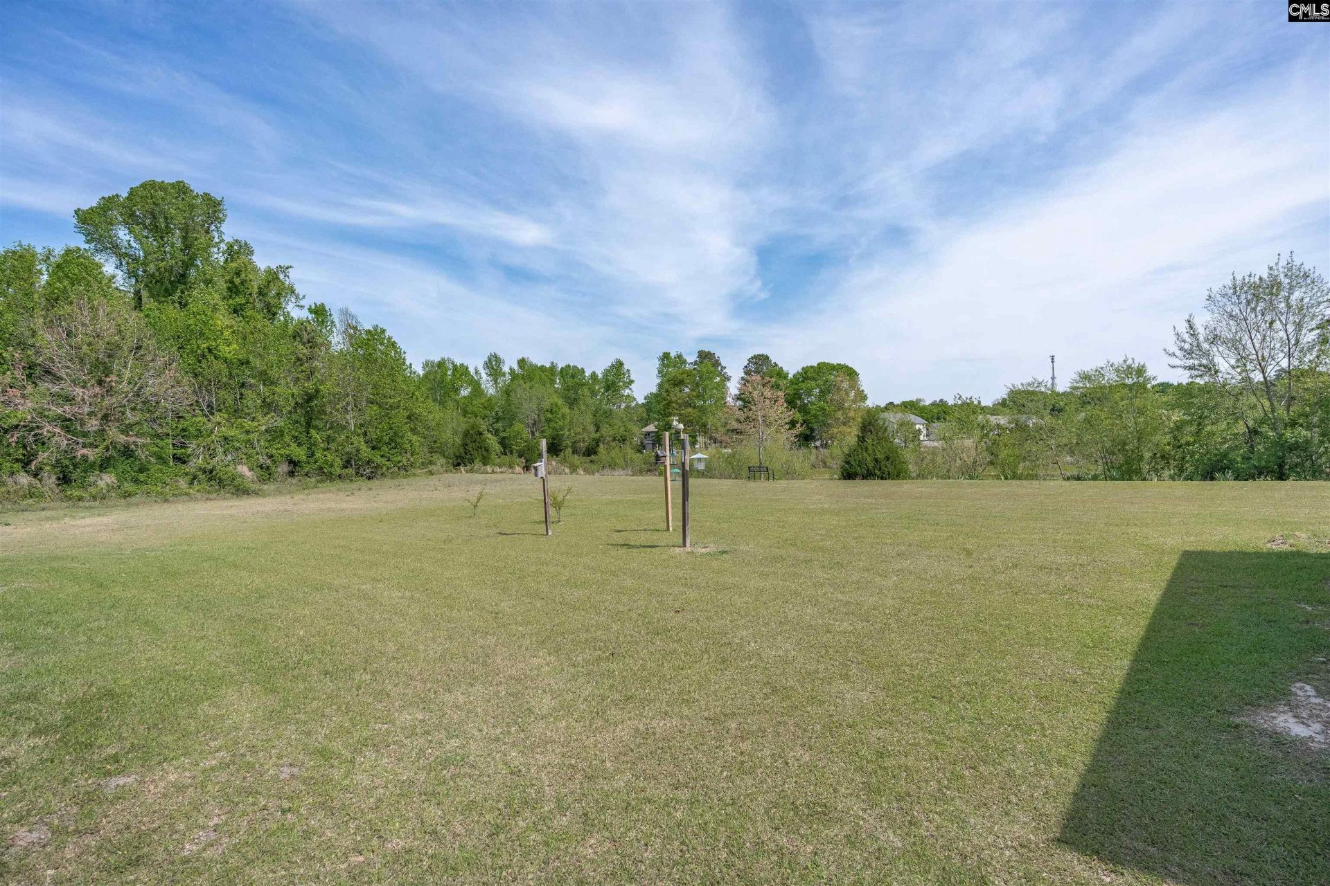 420 Bush Clover Way W Photo 28