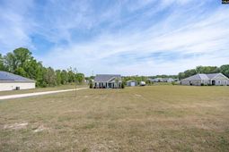 420 Bush Clover Way W photo 4