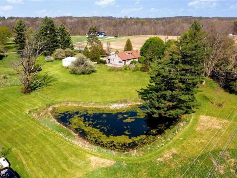 3922 State Route 42 S, Lexington, OH 44904 Photo 47