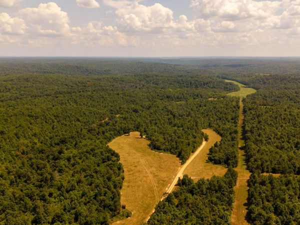 Tbd County Road 443 , Birch Tree, MO 65438