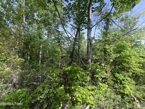 Big Hollow Rd, Monroe, TN 38573