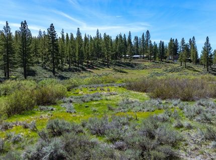 1380 Wolf Meadows Lane, Portola, CA 96122 Photo