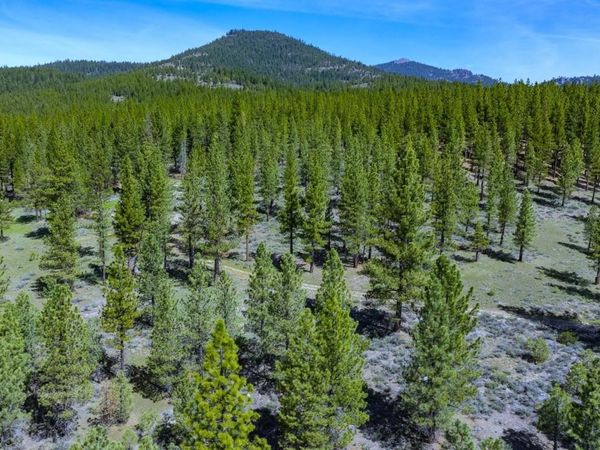 73077 Highway 70, Portola, CA 96122