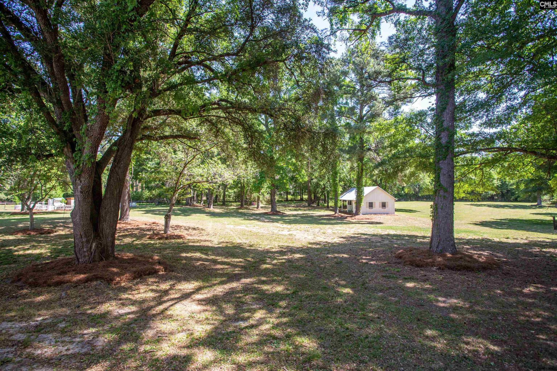 481 Cantey Lane  Photo 49