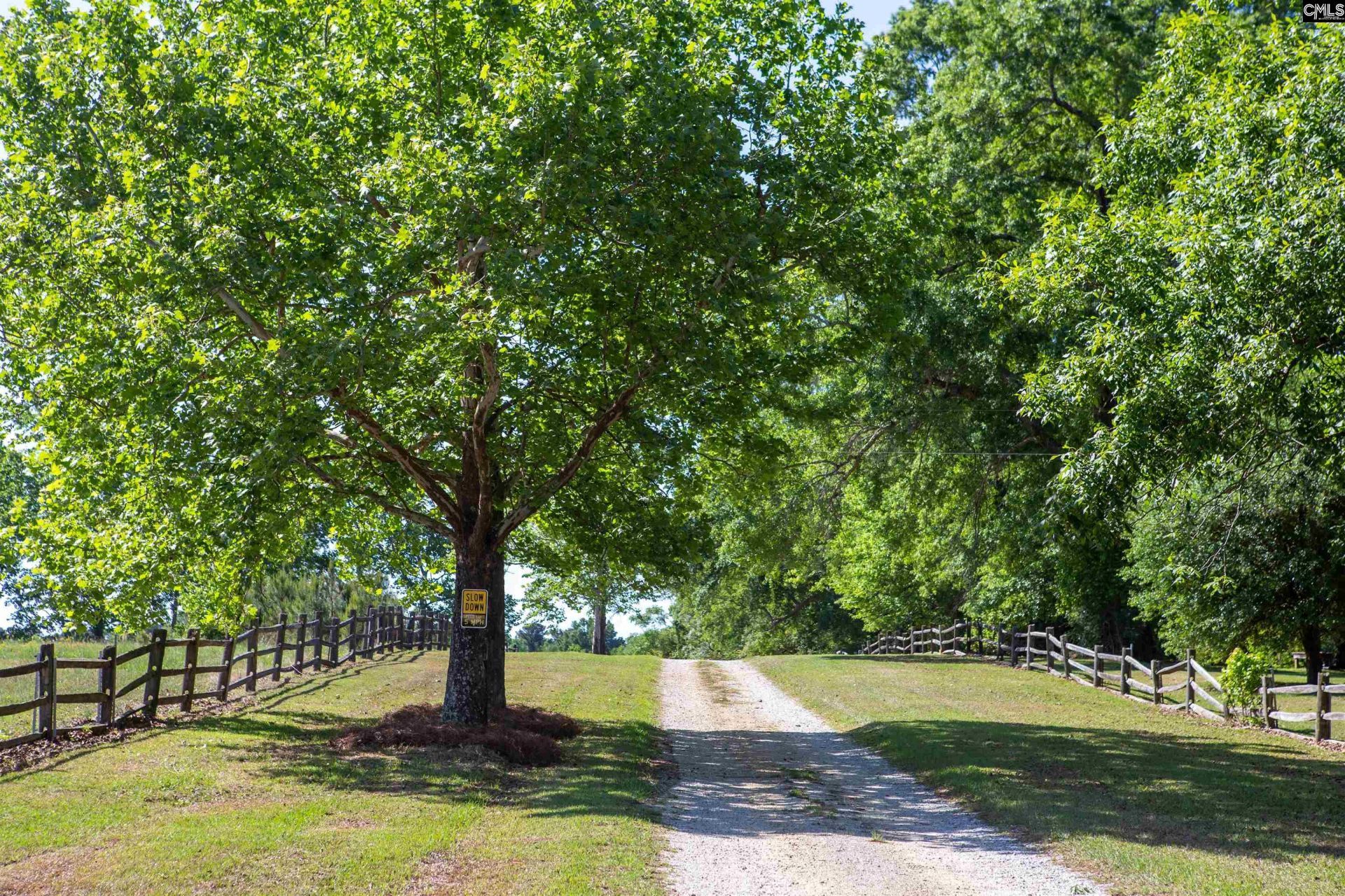 481 Cantey Lane  Photo 54