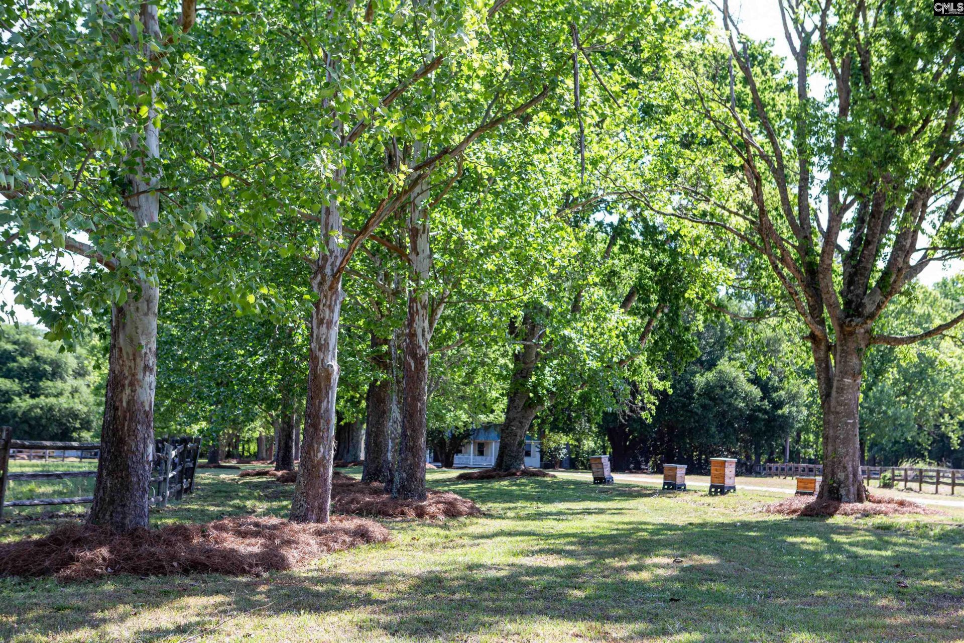 481 Cantey Lane  Photo 55