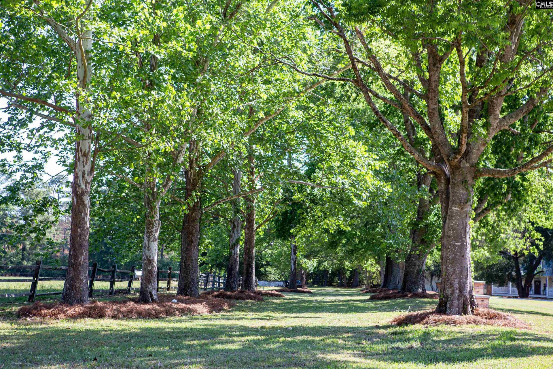 481 Cantey Lane  Photo 56