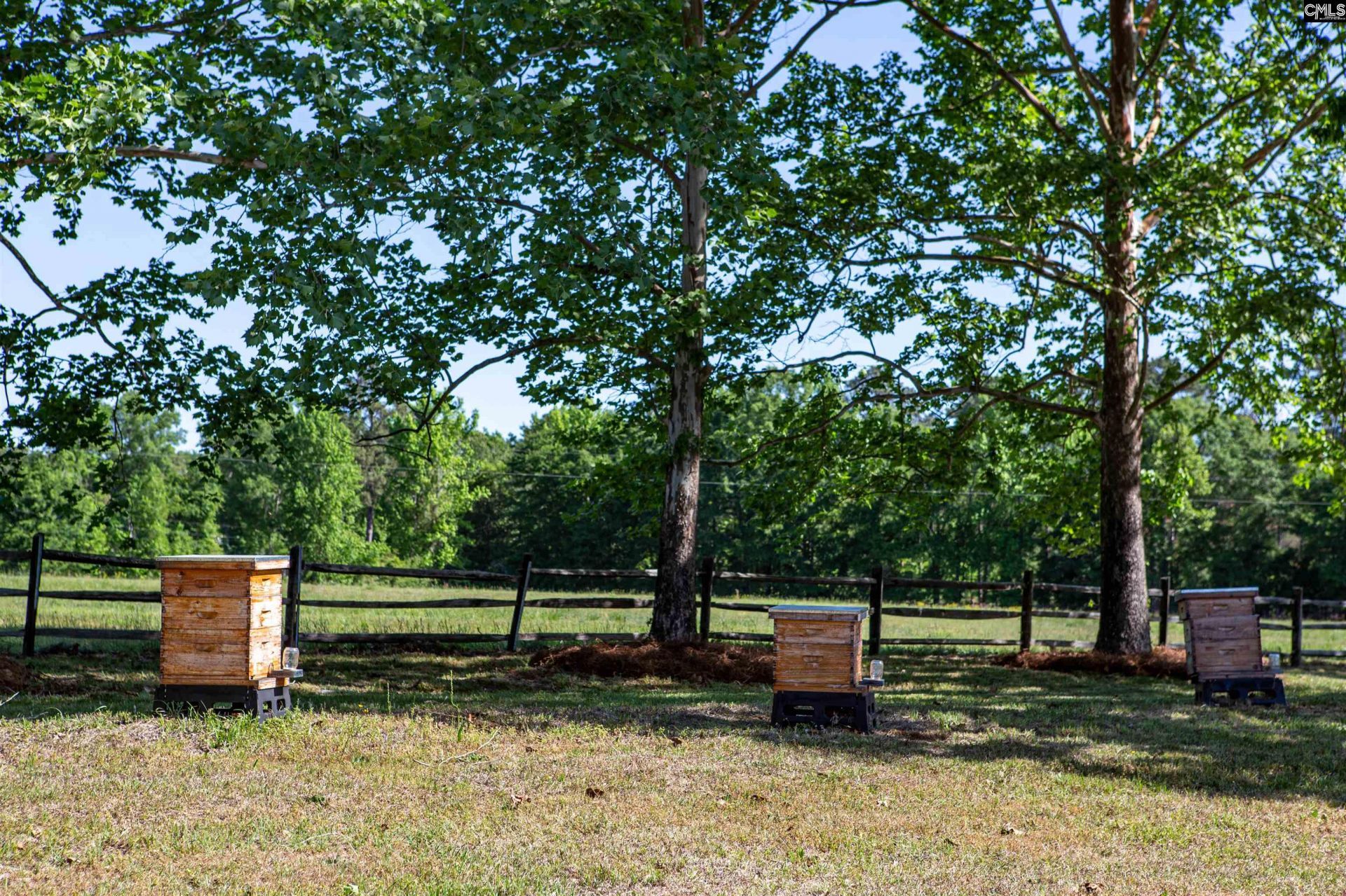 481 Cantey Lane  Photo 57