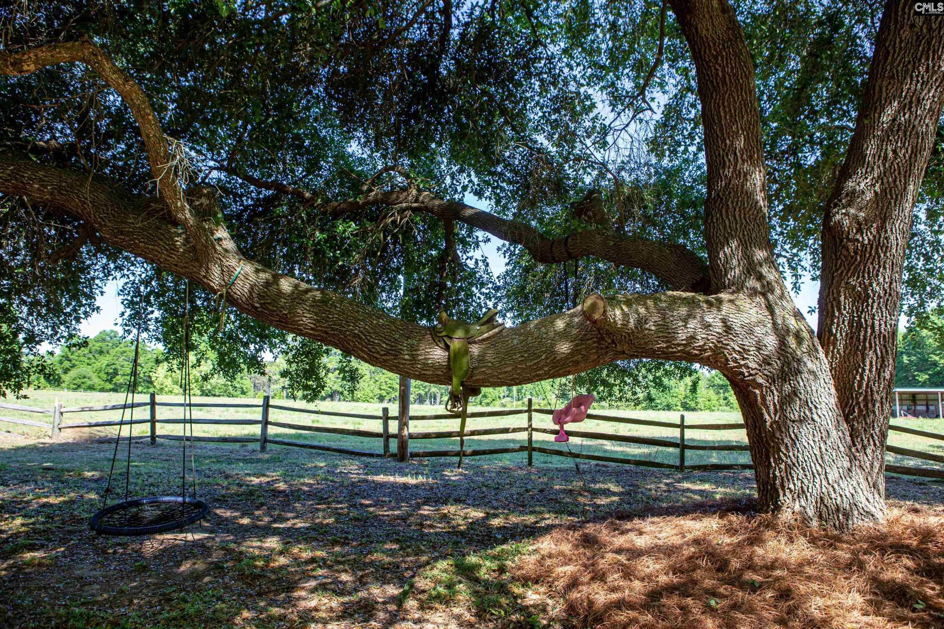 481 Cantey Lane  Photo 58