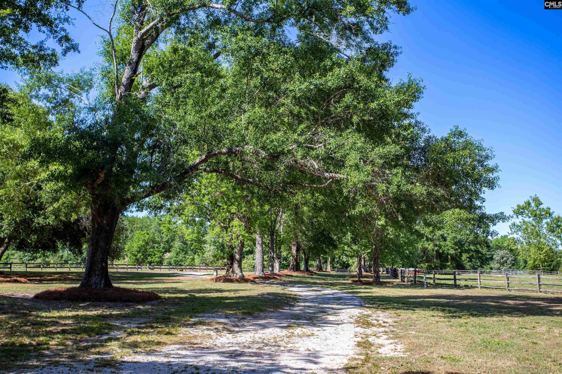 481 Cantey Lane  Photo 59