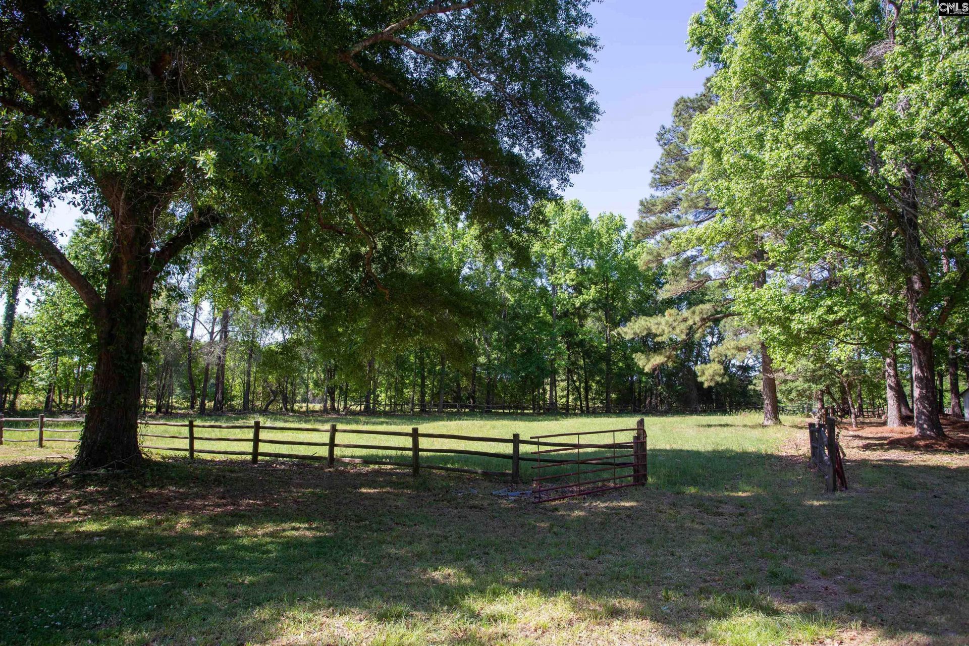 481 Cantey Lane  Photo 71