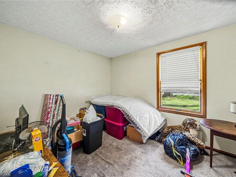 4761 Austin Road , Geneva, OH 44041 Photo 29