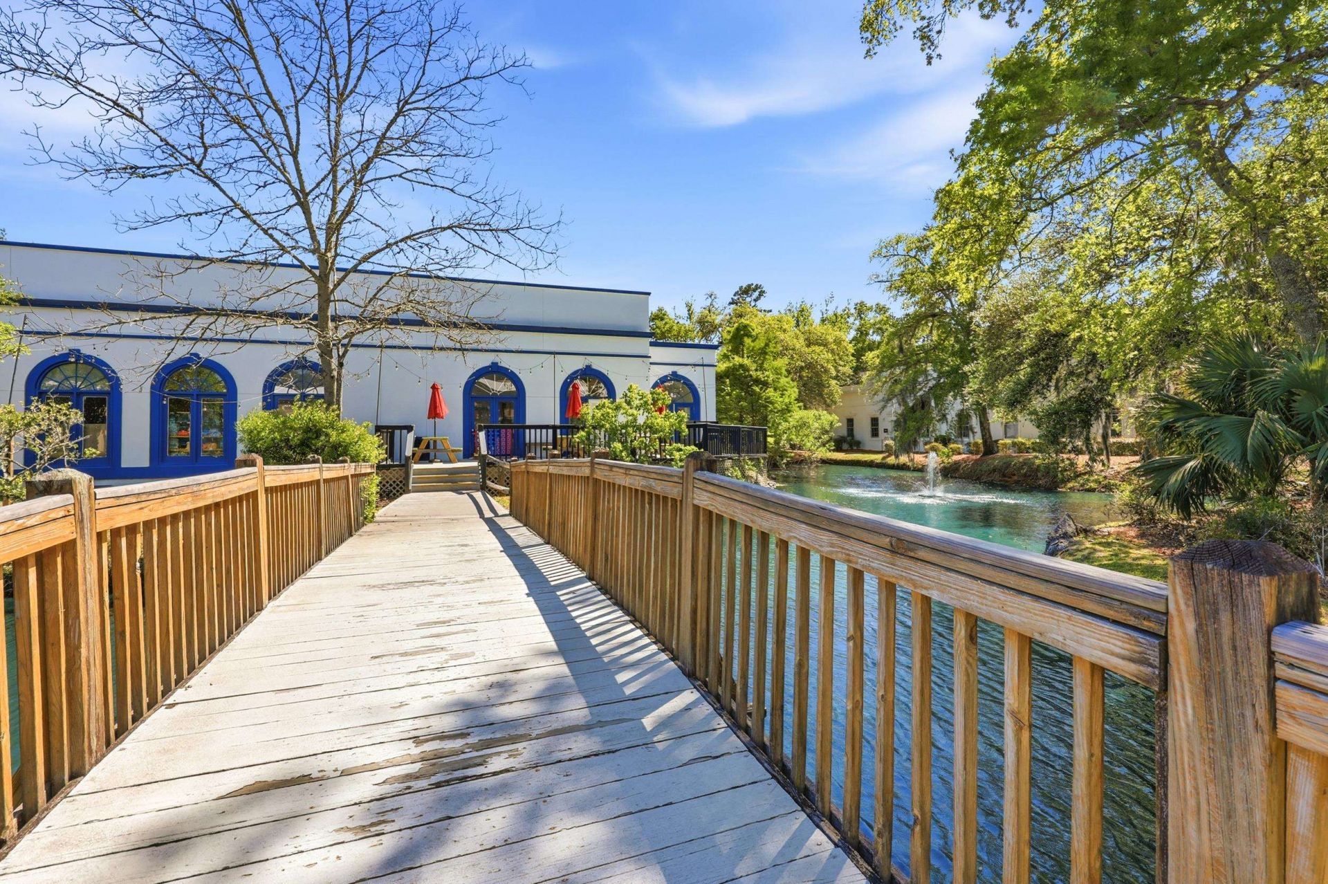 14319 Ocean Highway  Photo 6