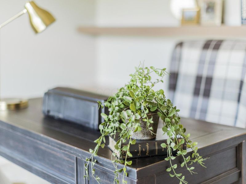 6437 Marsella Court, Westerville, OH 43082 Photo 14