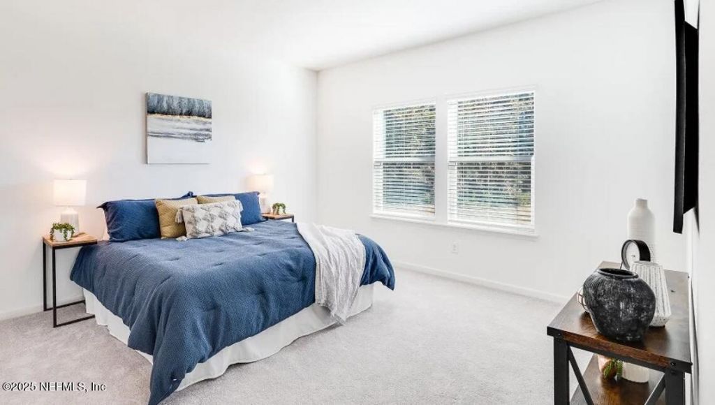 2789 Firelight Lane, Green Cove Springs, FL 32043 Photo