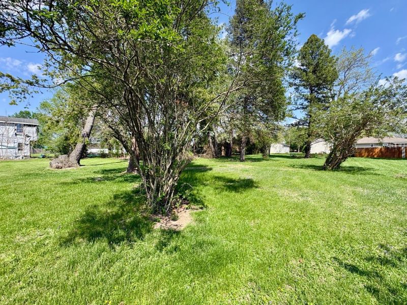 0 Thomas Street, Tiffin, OH 44883 Photo 4