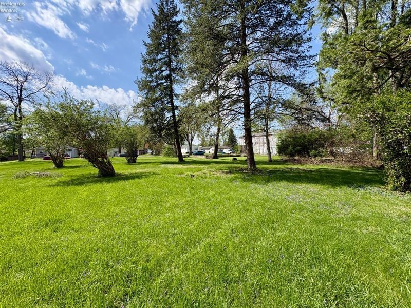 0 Thomas Street, Tiffin, OH 44883 Photo 5