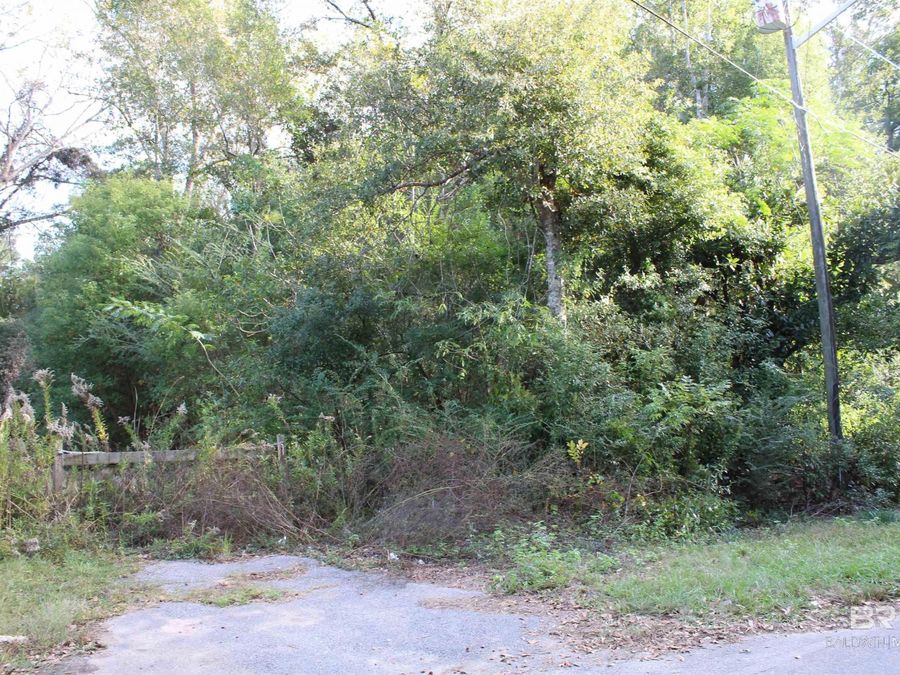 Property Image 24