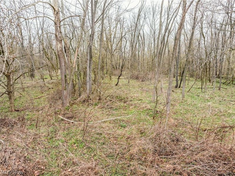 Licking Valley Road , Frazeysburg, OH 43830 Photo 11