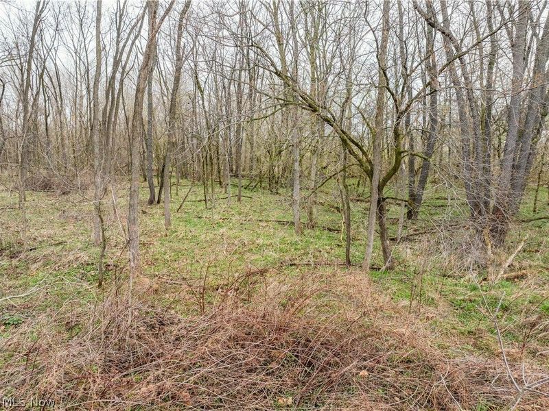 Licking Valley Road , Frazeysburg, OH 43830 Photo 12