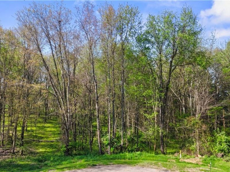 Orchard View Court , Unit Lot 167, Howard, OH 43050 Photo 11